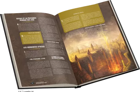 Photo de Jeu de Rôle : Star Wars - Livre Force et Destinée Domaines de la Force