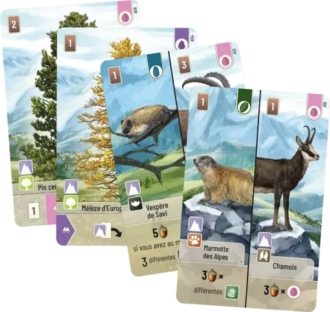 Photo de Jeu - Foret Mixte : Alpes (Ext.)