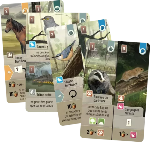 Photo de Jeu - Foret Mixte DartMoor