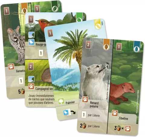 Photo de Jeu - Foret Mixte : Exploration (Ext.)