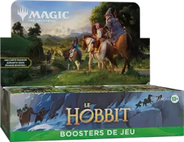 Photo de Wizard of the coast WIHOBPLBOFR