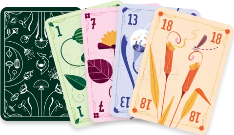 Photo de Jeu - Poket - Hii Fuu
