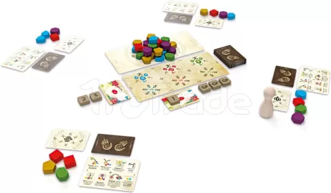 Photo de Jeu - Ritual