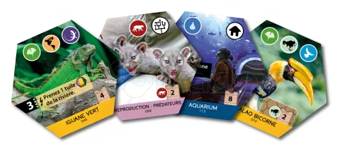 Photo de Jeu - Sanctuary