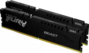 Photo de Kingston Fury Beast