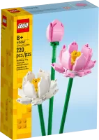 Photo de Lego Botanique 40647
