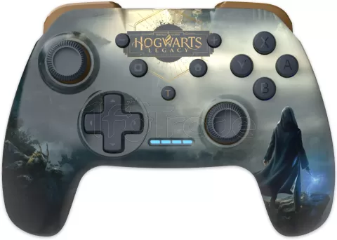 Manette de jeu sans fil Freaks and Geeks Harry Potter Hogwarts Legacy pour  Nintendo Switch/PC (Noir) pour professionnel, 1fotrade Grossiste  informatique