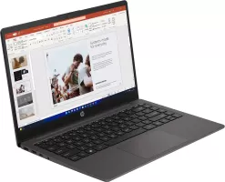 Photo de Ordinateurs Portables Hewlett-Packard 245 G10