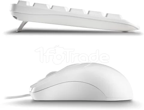 Photo de Pack 2en1 (Clavier/Souris) NGS Cocoa (Blanc)