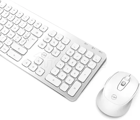 Photo de Pack 2en1 (Clavier/Souris) sans fil Mobility Lab (Argent)