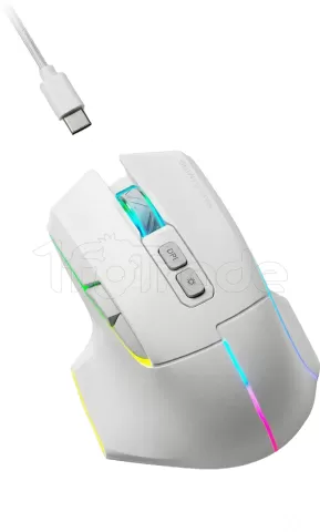 Photo de Souris sans fil Gamer Mars Gaming MMW-Vector RGB (Blanc)