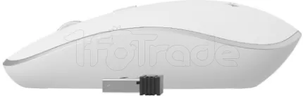 Photo de Souris sans fil Gembird (Blanc)