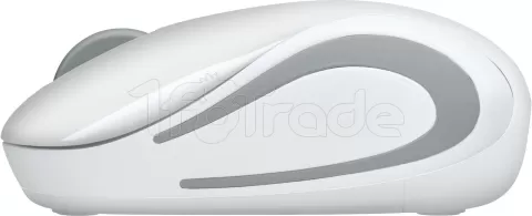 Photo de Souris sans fil Logitech Cordless Laser M187 (Blanc)