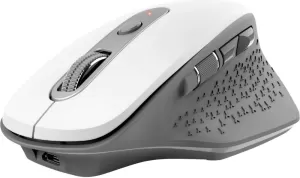 Photo de Souris sans fil Rechargeable Trust Ozaa (Blanc)