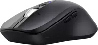 Photo de Souris sans fil Trust Ferro Hyperscroll (Noir)