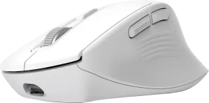 Photo de Souris sans fil Trust Niven (Blanc)