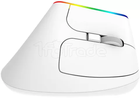 Photo de Souris sans fil verticale Delux M618C RGB pour droitier (Blanc)