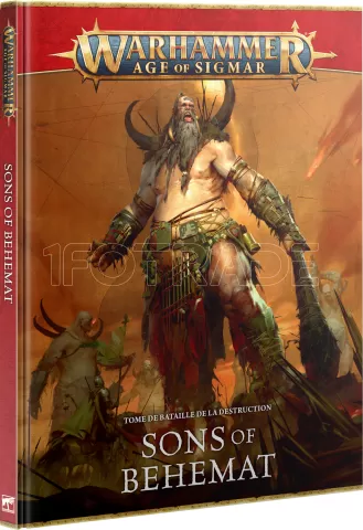 Photo de Warhammer AoS - Battletome V.4 Sons of Behemat (Fr)