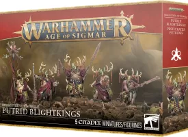 Photo de Warhammer AoS - Maggotkin of Nurgle : Putrid Blightkings