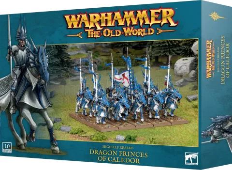 Photo de Warhammer ToW - Royaumes des Hauts Elfes : Princes Dragons de Caledor